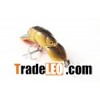 Shrimp NO.1 yellow  crankbait