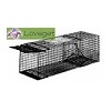 Medium-sized Animal Traps