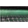 Tensile Plastic Netting