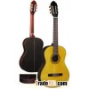 acoustic guitar