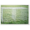 Gabion Box