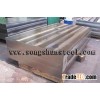 Mould steel plate H13 / 1.2344 / SKD61