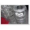 Field Fence