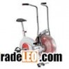 Schwinn Airdyne AD2