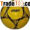 Trainer Ball