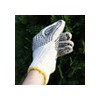 Safety Working PVC Dotted Glove