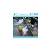 spa equipment---Pairs of Longquan