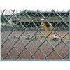 Sports Fence