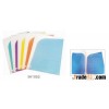 Binder clear folder