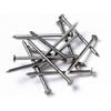 Galvanized Common Nails
