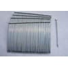 Galvanized Casing Nails