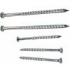Galvanized Screw Nails