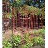Plastic Tomato Cages