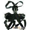 Safety harness-Luxury Full Body Harness EPI-11007