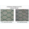Welded Wire Mesh