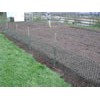 Pole Bean Trellis