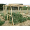 Cucumber Trellis