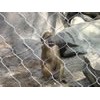 Welded Wire Mesh