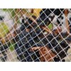 Knotless Bird Netting