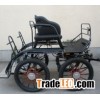 Cinderella carriage
