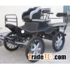 Horse Carriage for pleasure