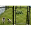 Chain Link Fence
