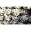 Gabion Sack
