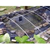 Pond Netting