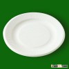 biodegradable disposable bagasse plate