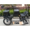 Marathon Horse Carriage