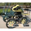 Marathon Pony Horse Carriage