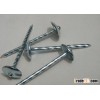 Roofing Nails