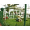 Wire Mesh Fence