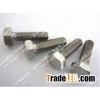 titanium  hexagon bolts
