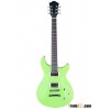 Electric Guitar