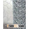 Hexagonal Wire Mesh