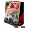 Christmas Paper Gift Bag With Tag