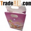 Paper Gift Bag