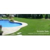 The landscaping grass