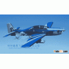 TOUCAN-120  RC plane