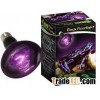 Repti Black Moonlight