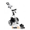 601D Amazing electrical golf buggy