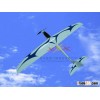 SPEEDY rc plane