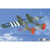 P-82 twin toy mustang-60 RC plane