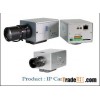 IP Cameras