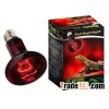Repti Red Nightlight