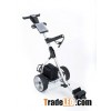601T Amazing electrical golf buggy