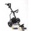 601EB Amazing electrical golf buggy