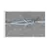 Galvanized Barbed Wire