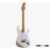 Electric Guitar(Stratocaster)